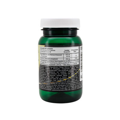 Melena de León + Vitamina C Natura506