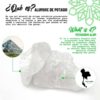 Desodorante Piedra de Alumbre Vital Green 100g - Imagen 4