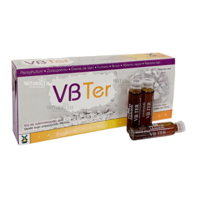 VB TER Tegor Rompepiedras